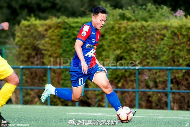 小草电视剧免费观看2019